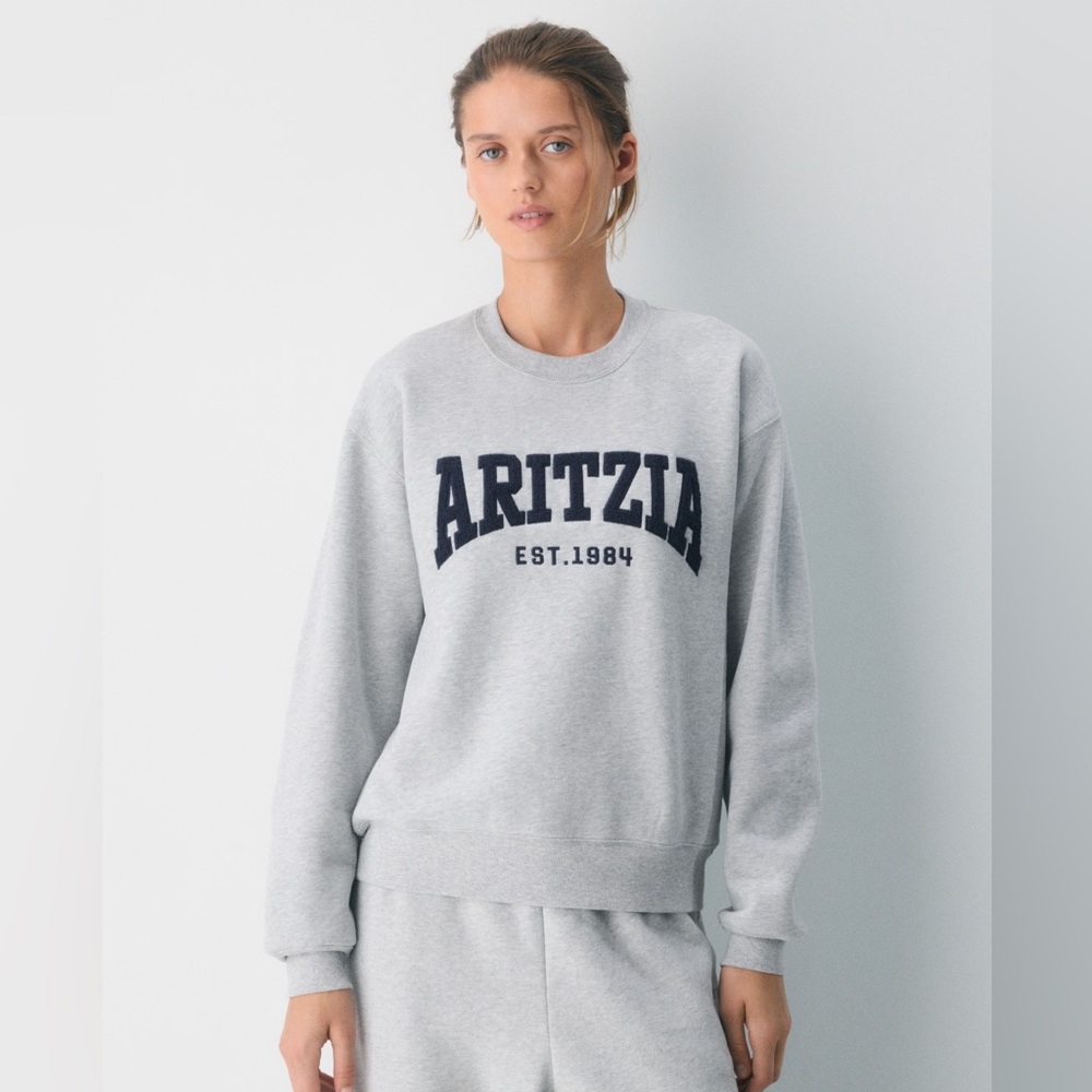 Aritzia Gray Crew Neck Sweater